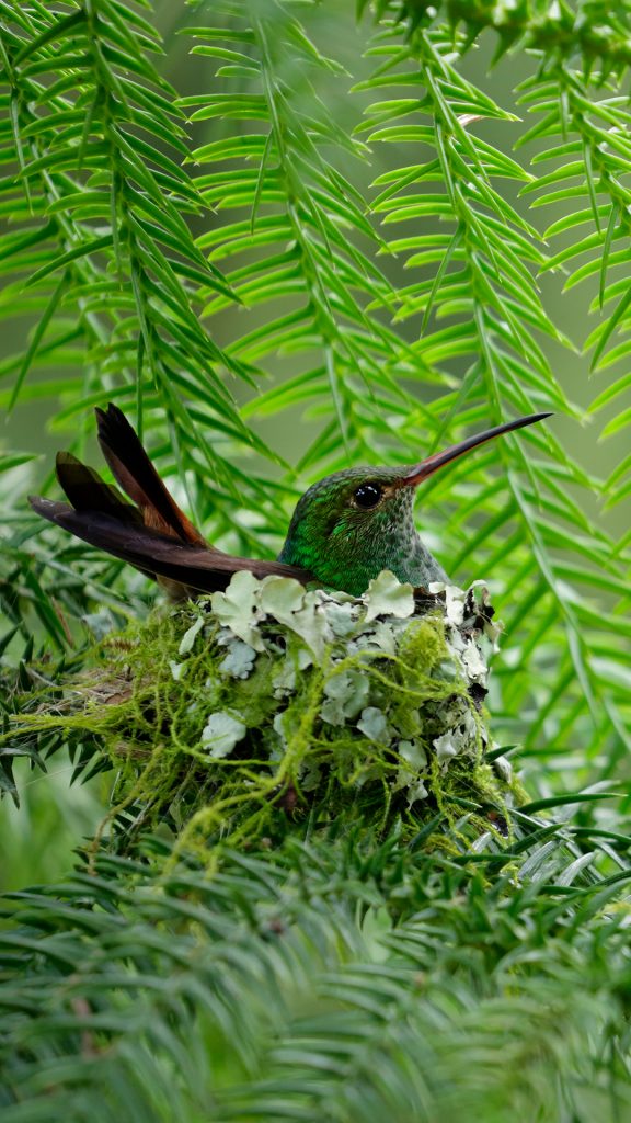 47dbc13a1ca43973b5a56b10eff84680