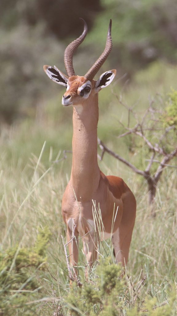 5d3003edf6bc4d3a942d4c7a0bfc5e0d