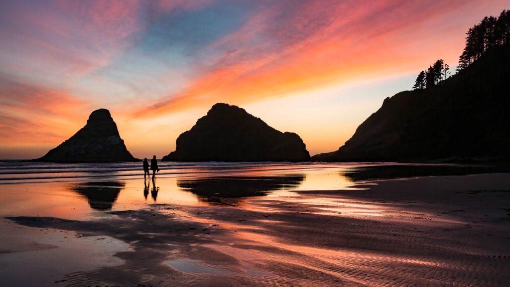 Seastack and headland at sunset, Heceta Head in Devil's Elbow State Park, Oregon, USA