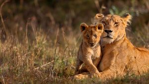 665a55234f267a4b5ddb719a23d88b5d