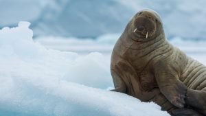 6c4a9779cef9be18856665c9d408c7cd