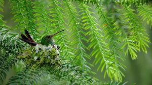 876f717d984616c5b0b3e9b44154a09e