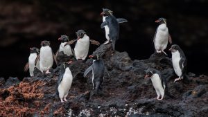 879fbd3197d47ac07002621221cbddff