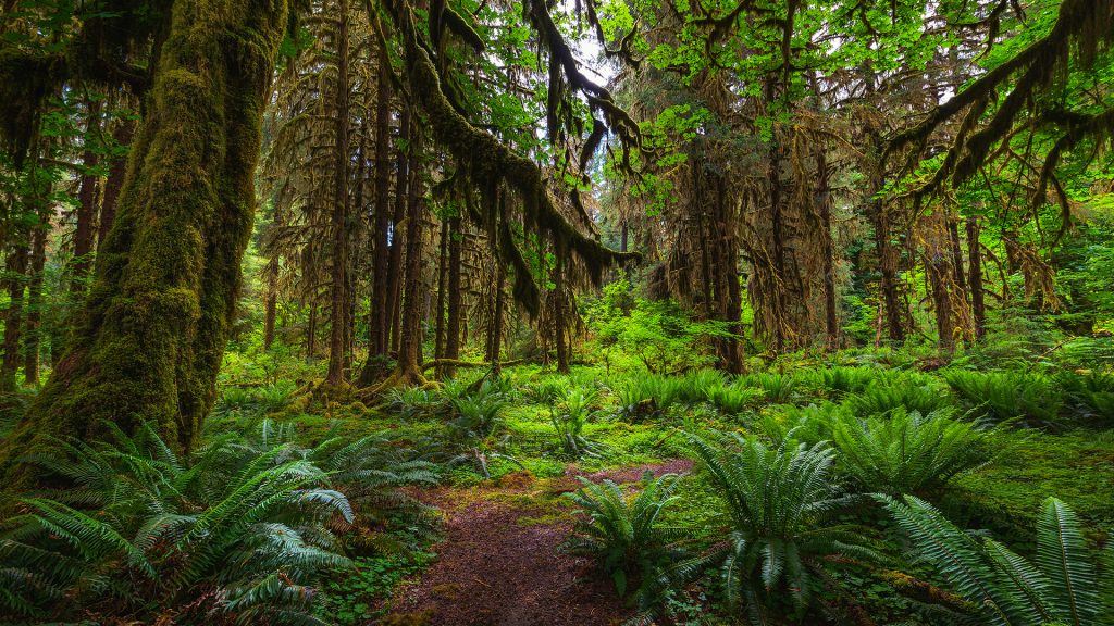 9817c74d9b0ccc8c97b3e5f9285a2f3c