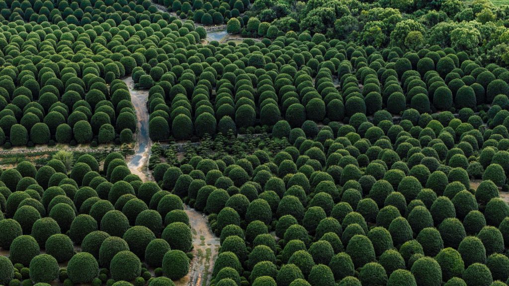 9903d2477b86941a503c2cc163ed7bb7