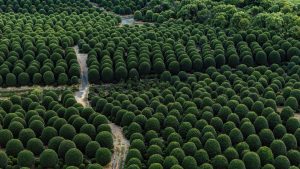 9903d2477b86941a503c2cc163ed7bb7