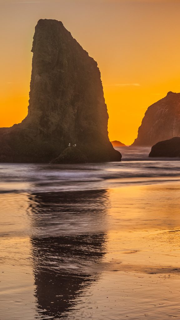 b64f995d8c444534bbcf41620d129a65