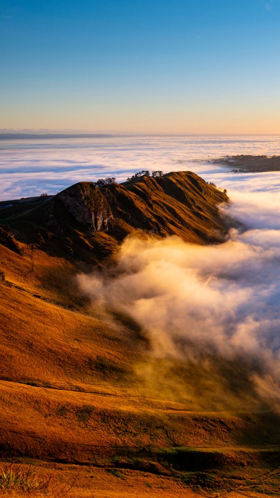 b7f1a3920382479b7208f065c73e4e17