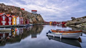 bda38dc534e50c52ba1eb2e8141d3c36