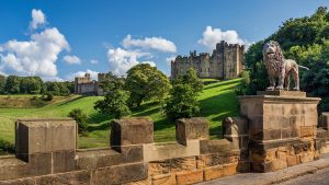 c335f0982ebf74719157c249d508ab70