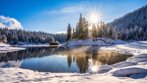 ca039e01ea41eb38d7b3a38187555d5c