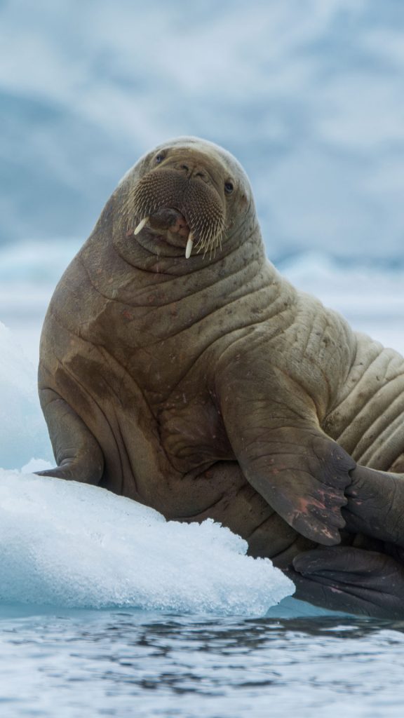 dab99d89777f5add0b82a9c80ab47bb8