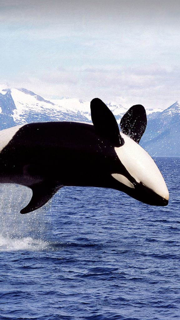 dd6794b049baa5ca49d7b7c3cd72d932