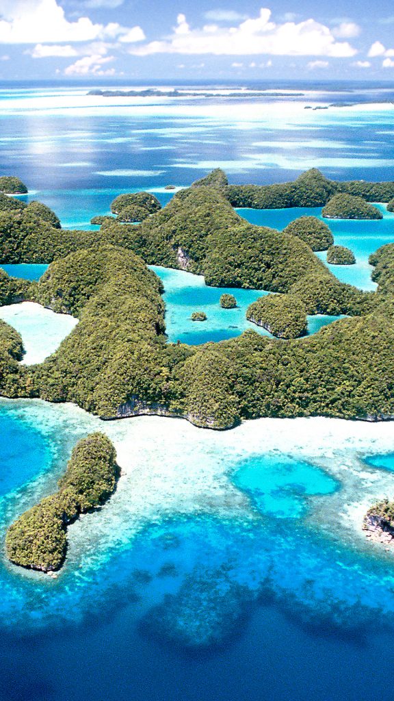 f434094a19b41f5197abc33819d99065