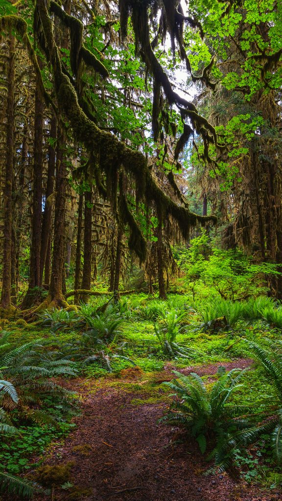 f7052b401d514f2c1e68070314adb629