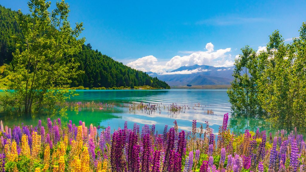 1c6d2a53d7b7a2fd9e5439c0b6cec086