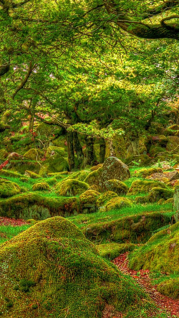 659d5cbb0099e9c49875df199ecb2a23