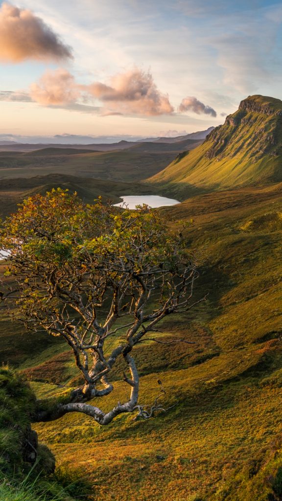 85c906e5aa7c69cdea037acd2e3ab6c6 85c906e5aa7c69cdea037acd2e3ab6c6