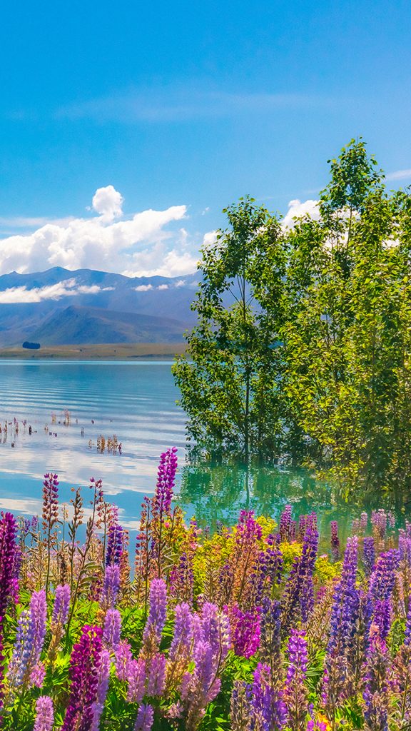 89590a49c6b130e282763a157b73a095