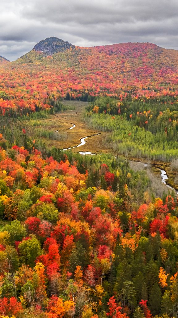 94eb740e6664ec8b6893e67ed4173f8e