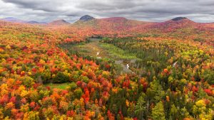 9e6bb76f9dffb6cee7980f37a3731fa4