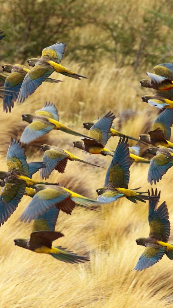 afece27e2c2def0898cecbab6b4c44c0