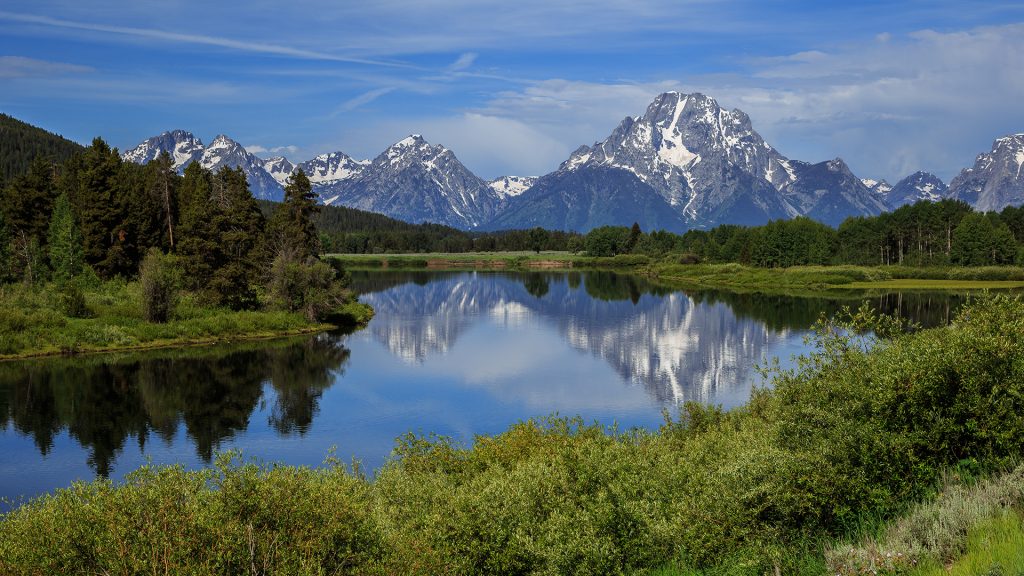 c103b1783cf1d69fb591efab1878c917