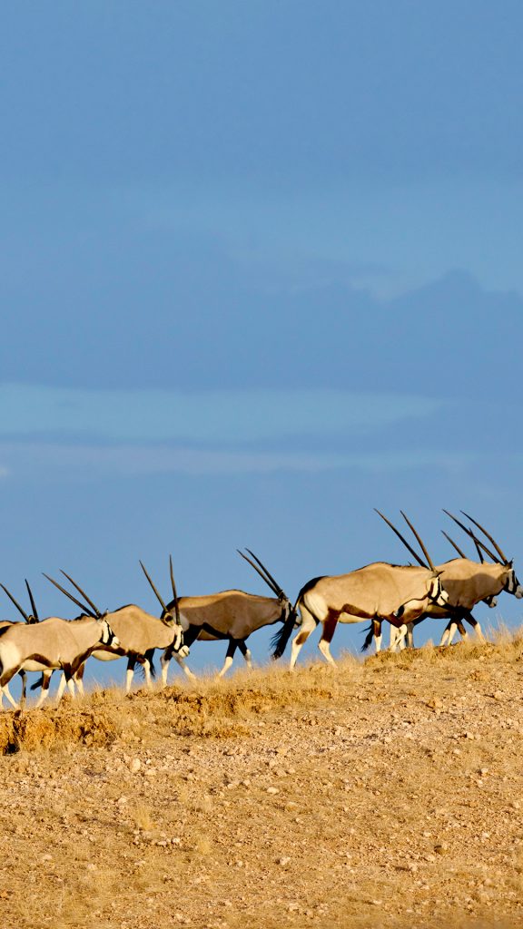 c67f41af53bf563654708540793cee7e c67f41af53bf563654708540793cee7e