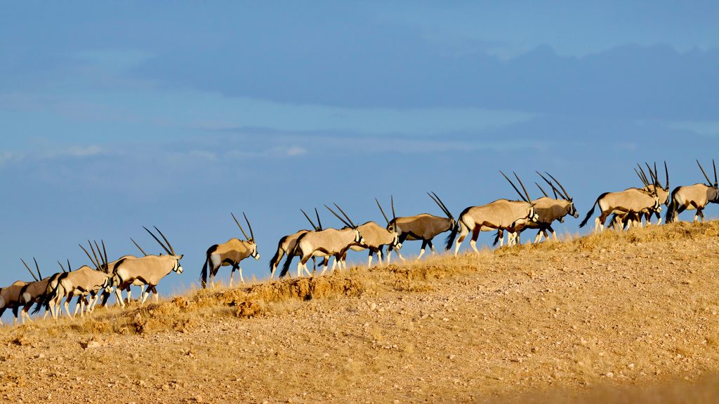 f9b7d8a3f9138bc151c748022f5c1b96