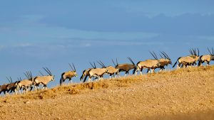 f9b7d8a3f9138bc151c748022f5c1b96